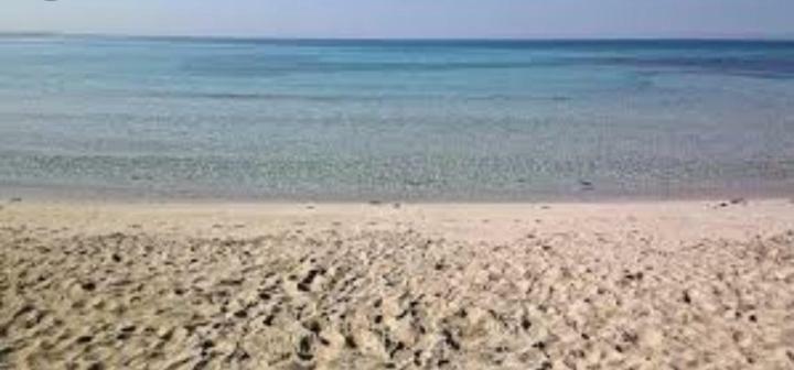 טורה לפילו Acquazzurra Affittacamere מראה חיצוני תמונה